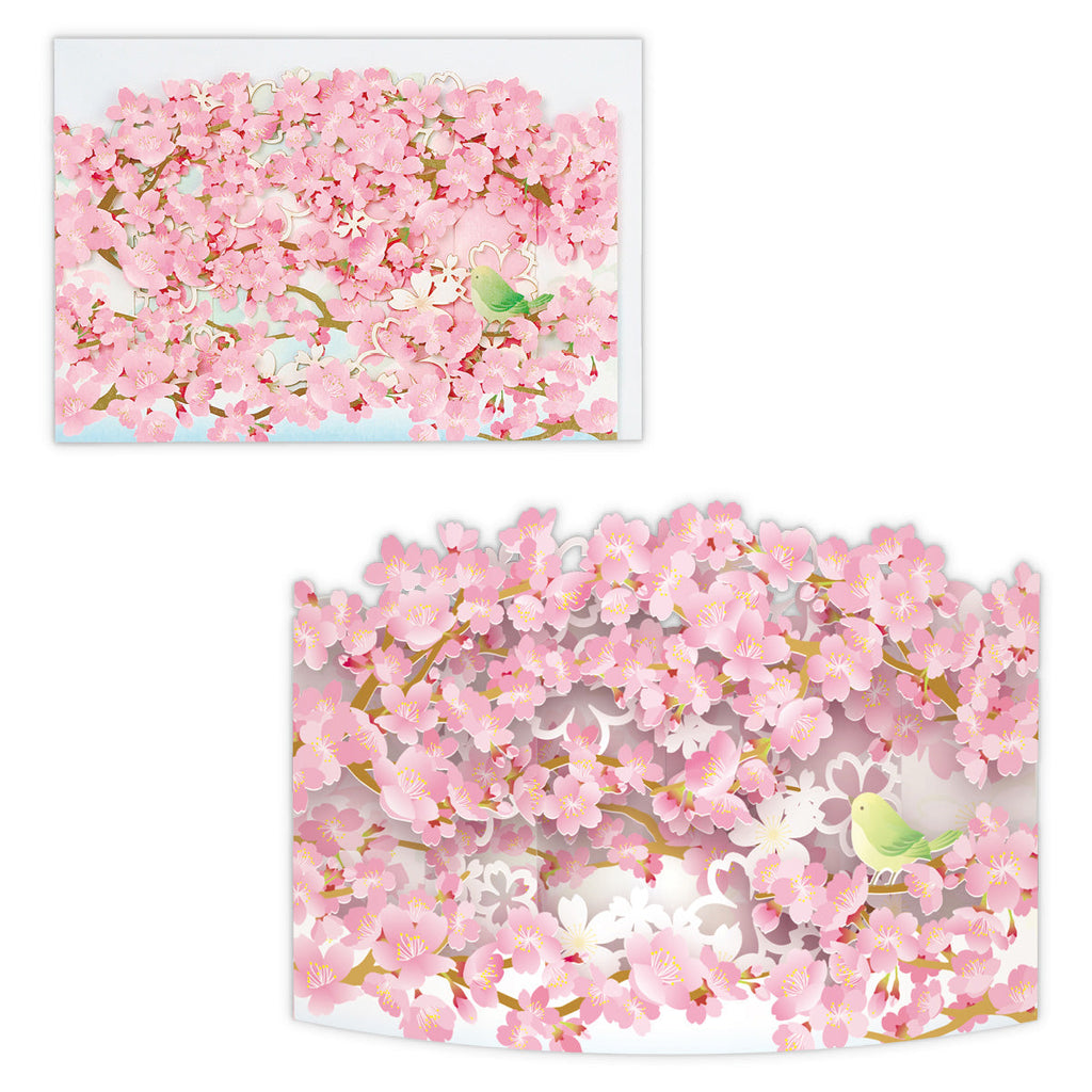 カーブレーザーカット 桜とうぐいす【春柄立体グリーティングカード】