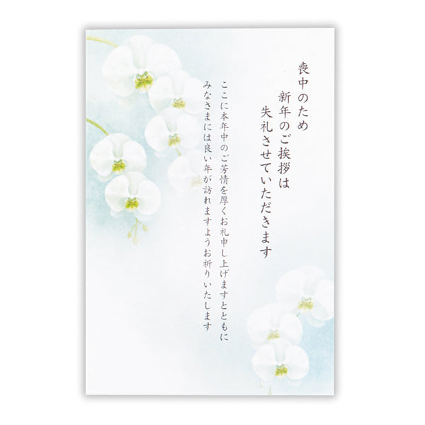 喪中はがき 胡蝶蘭Ⅱ【喪中通知・年賀欠礼状】