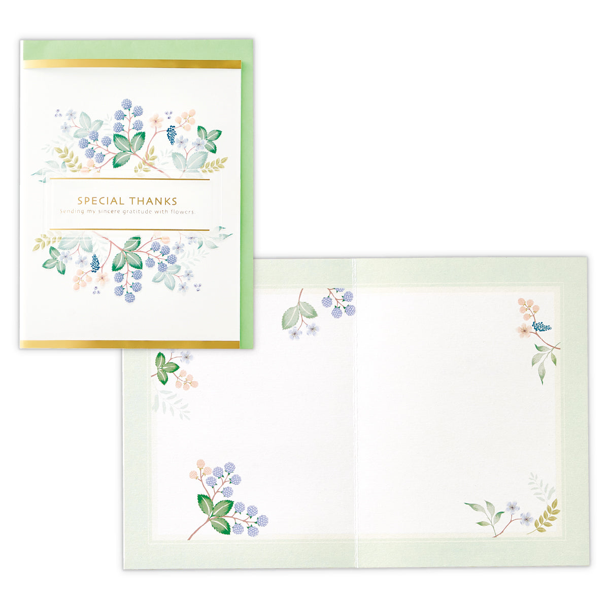 APET ボタニカル・グリーン【ありがとう】