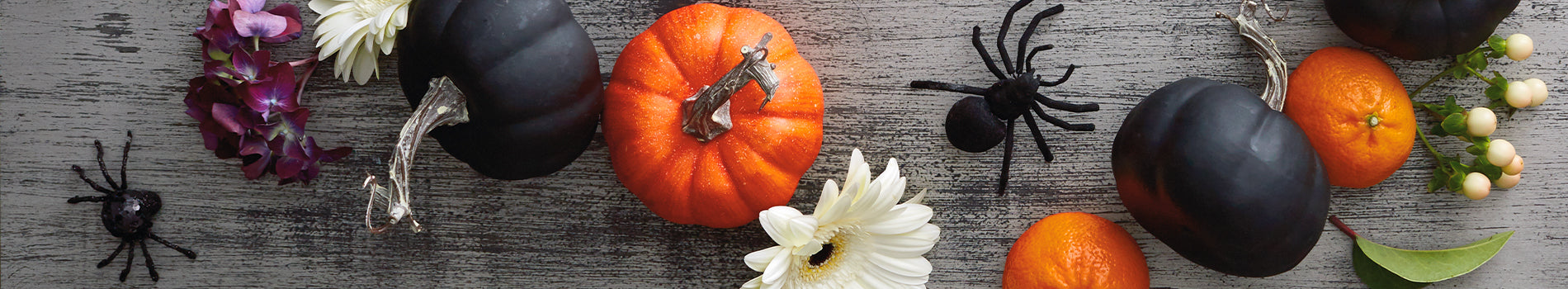 カード - 秋のおすすめ