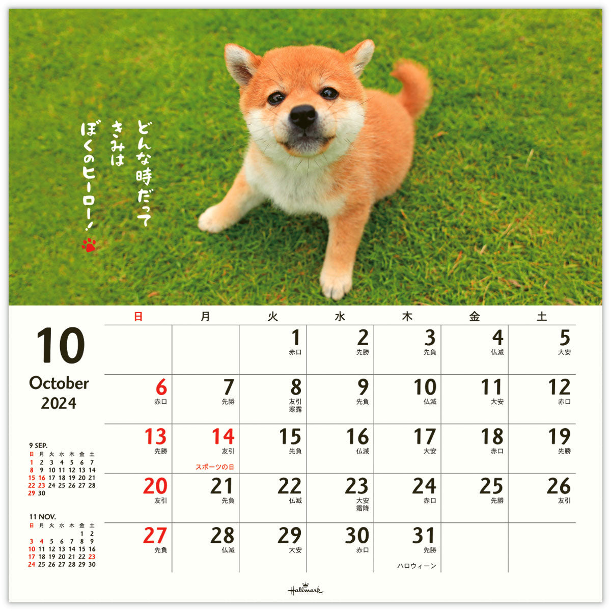 2024年 卓上カレンダー カレンダー かわいい 柴犬 多機能 付箋 犬 2