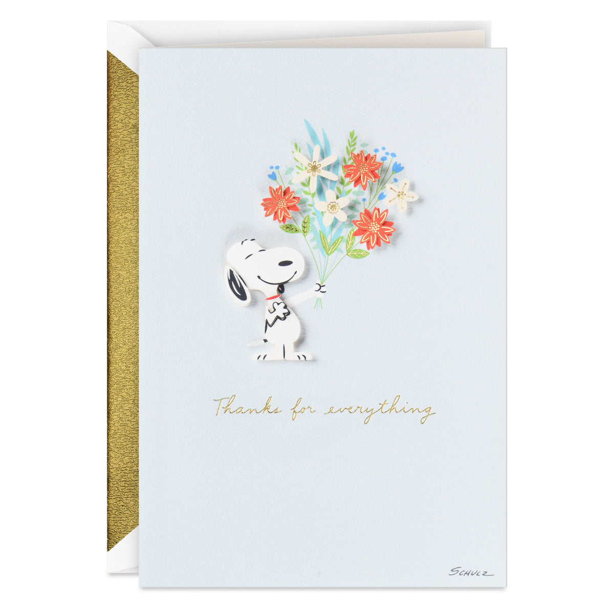 Peanuts® Snoopy Really Appreciate Thank you Card【ありがとう 