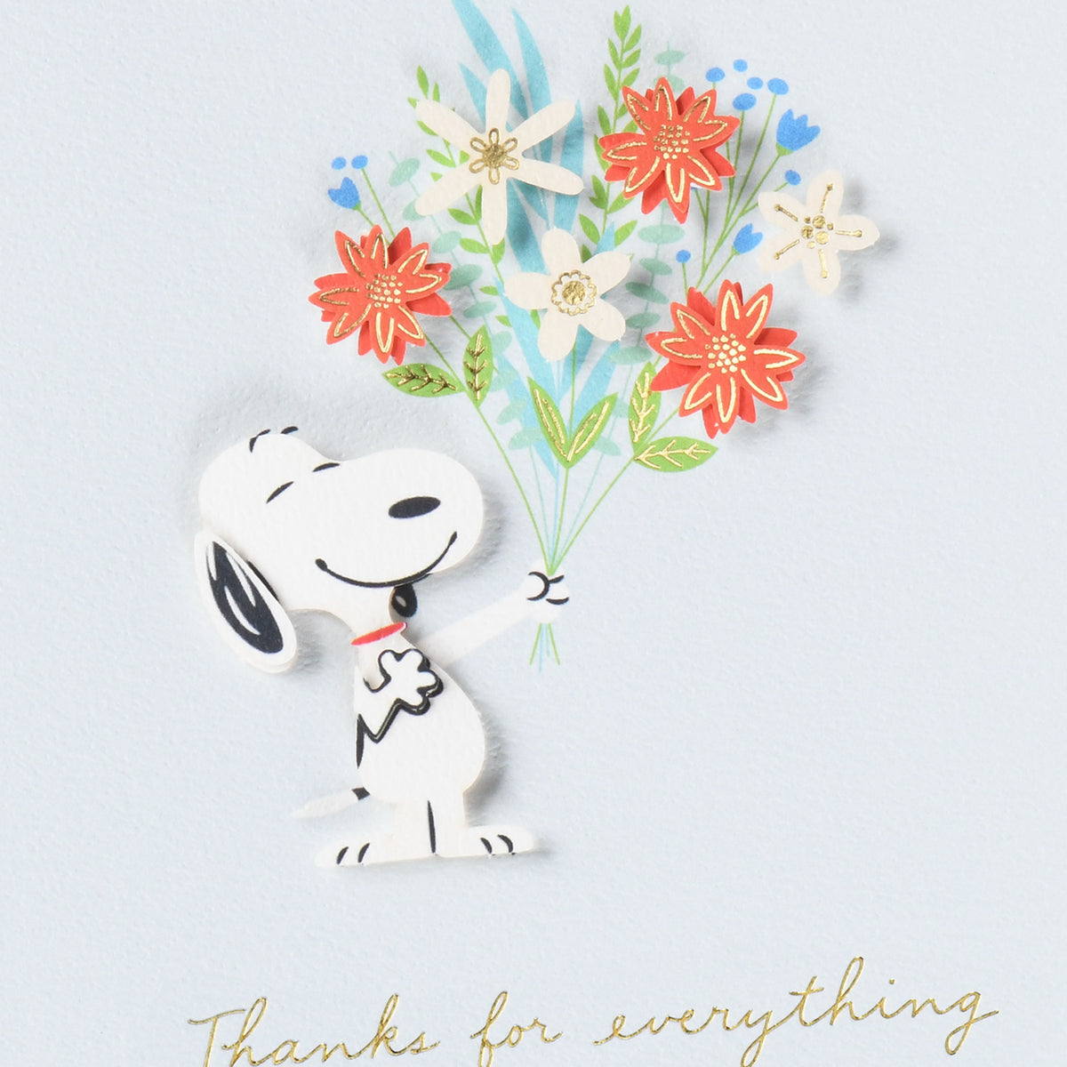 Peanuts® Snoopy Really Appreciate Thank you Card【ありがとう 