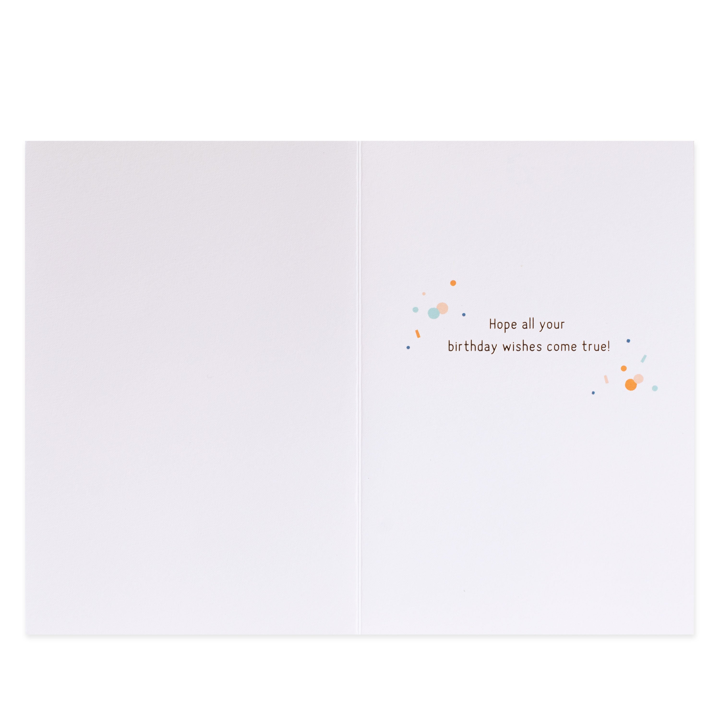 Hope all your birthday wishes come true Balloon Birthday Card