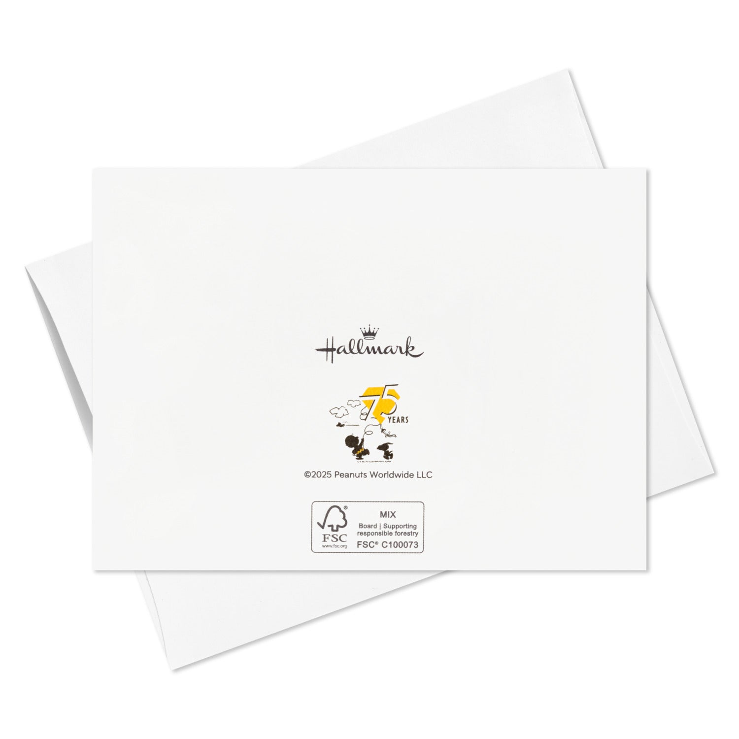 Peanuts® 75周年 スヌーピーと仲間たち ブランクカードアソート
