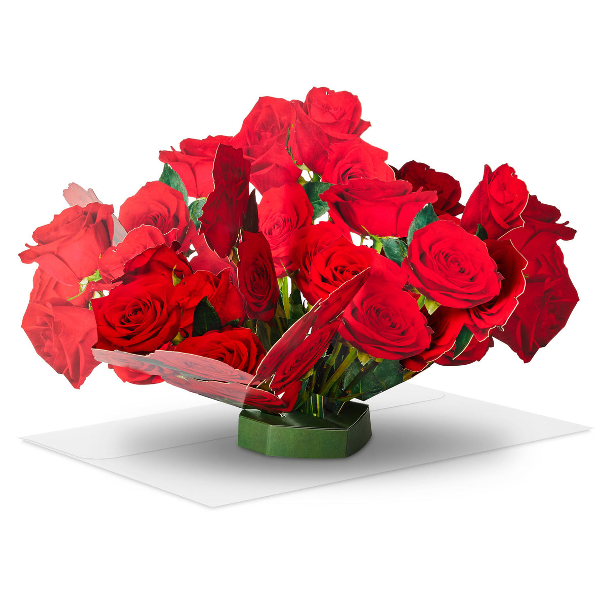 843823.jpg?v=1734411556&width=1200
