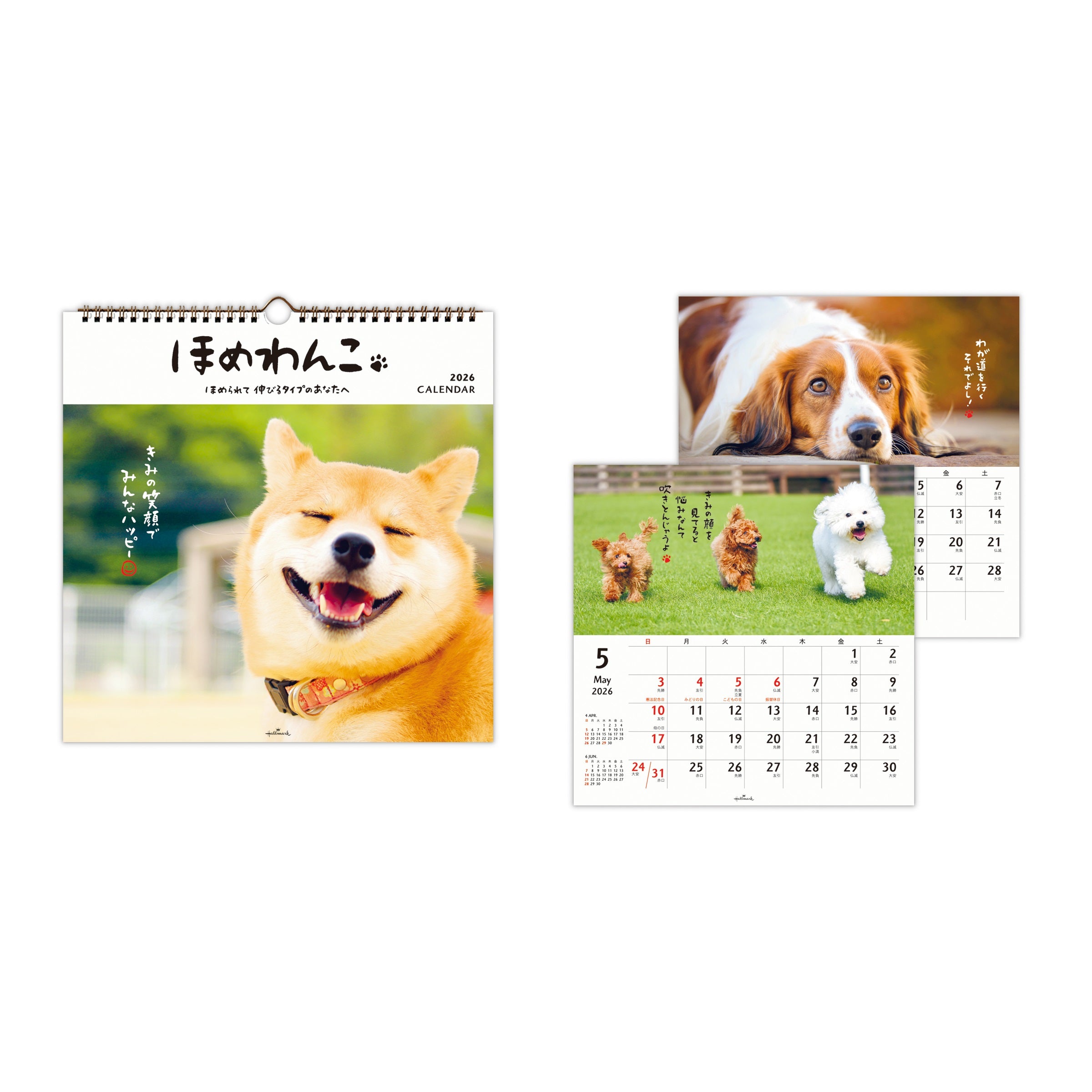 オーダーしました　花冠12　わんこ　ご予約ページ　5/17 ほめわんこ【壁掛け｜リングカレンダー大 2026】日本ホールマークの