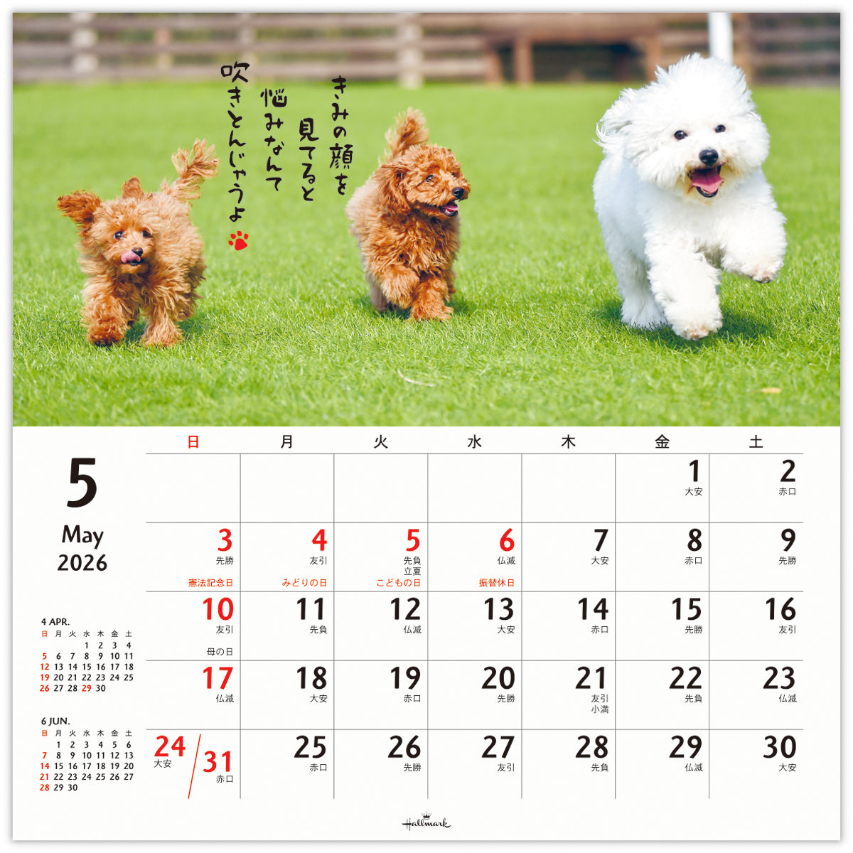 ほめわんこ【壁掛け｜リングカレンダー大 2026】日本ホールマークの