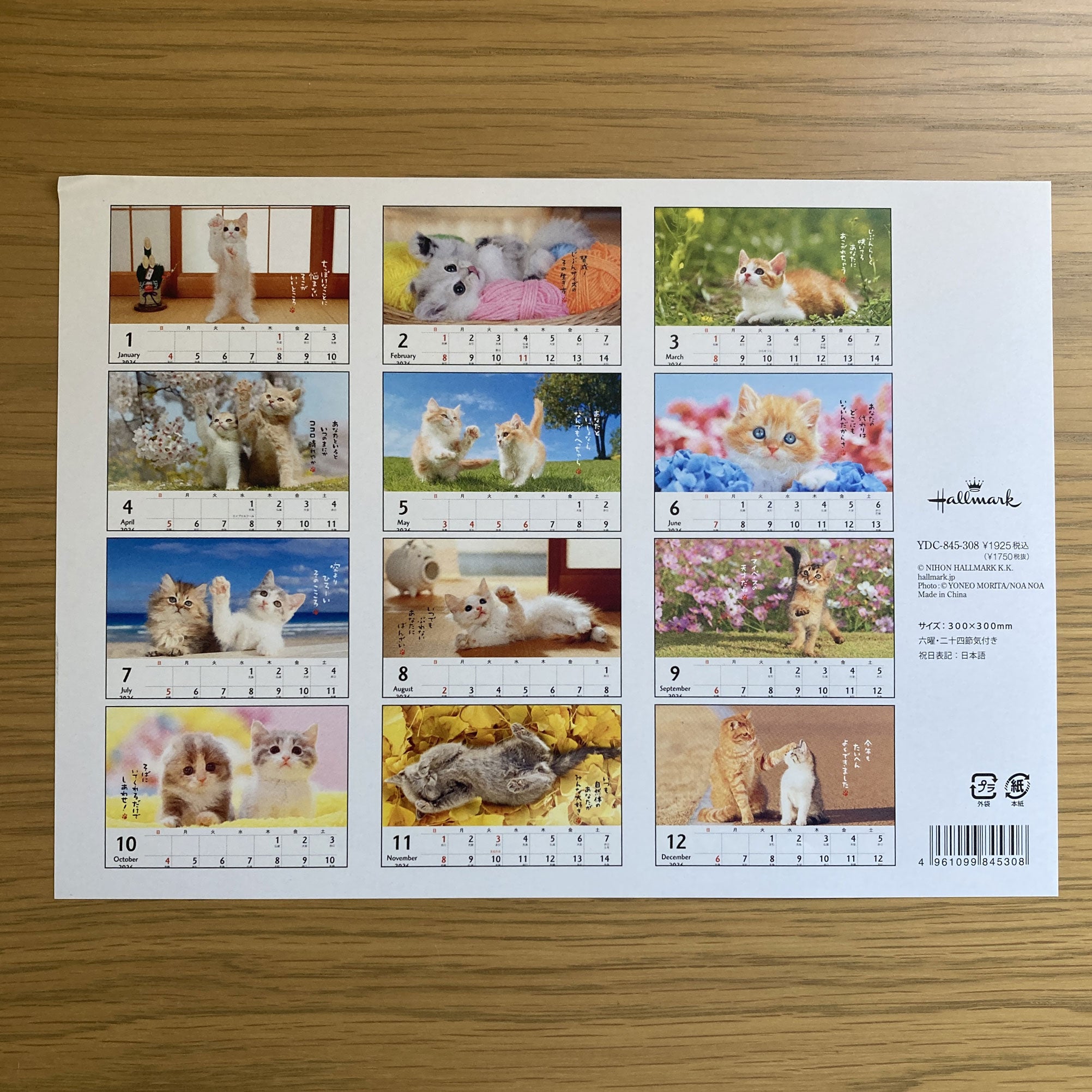 ほめにゃんこ【壁掛け｜リングカレンダー大 2026】日本ホールマークの