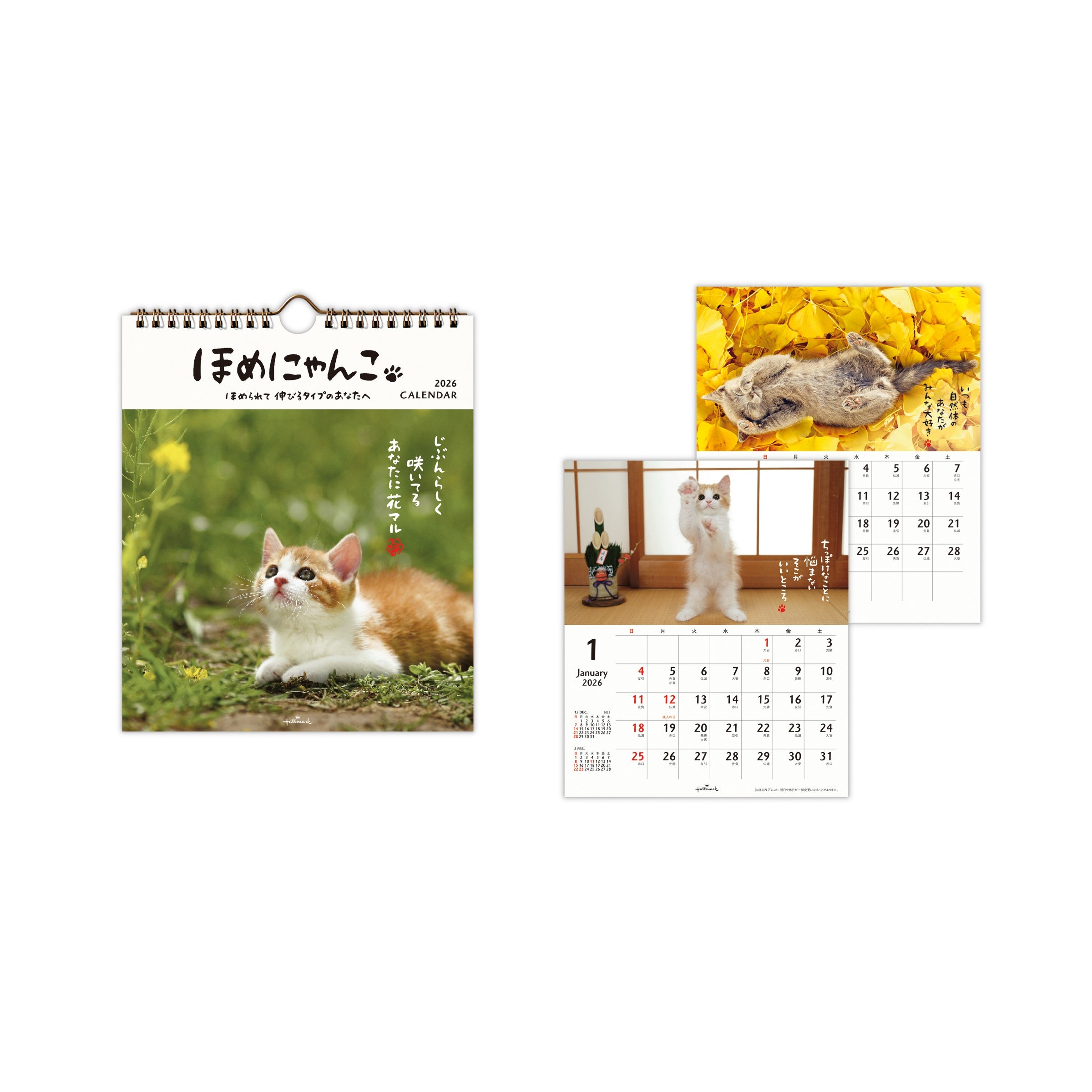 ほめにゃんこ【壁掛け・卓上｜リングカレンダー小 2026】日本ホール