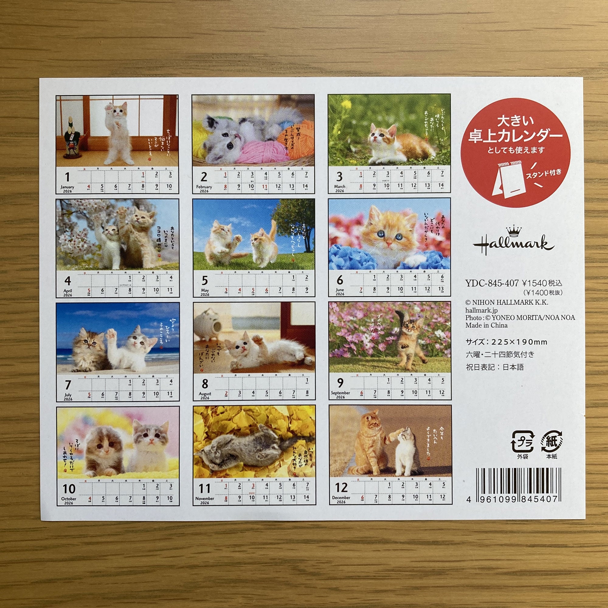 ほめにゃんこ【壁掛け・卓上｜リングカレンダー小 2026】日本ホール