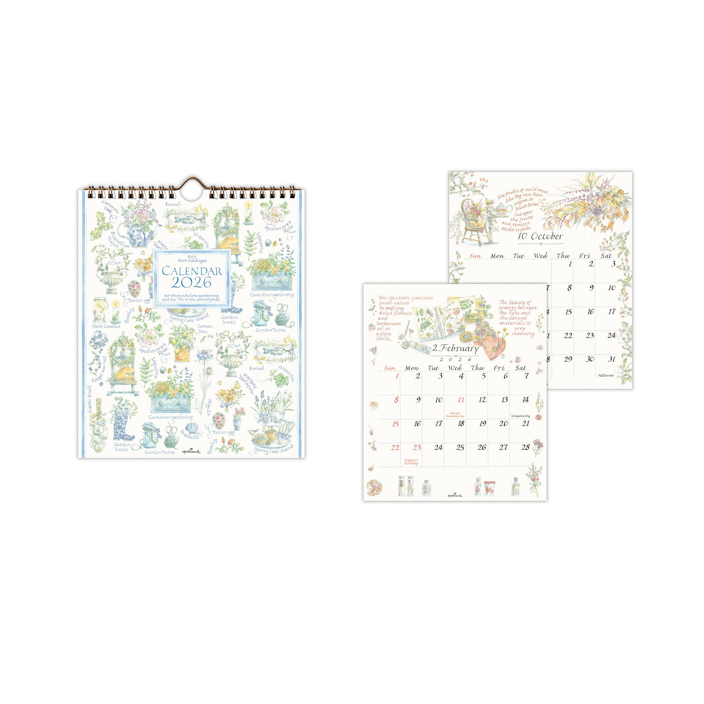 ハーブカタログ【壁掛け・卓上｜リングカレンダー小 2026】日本ホール