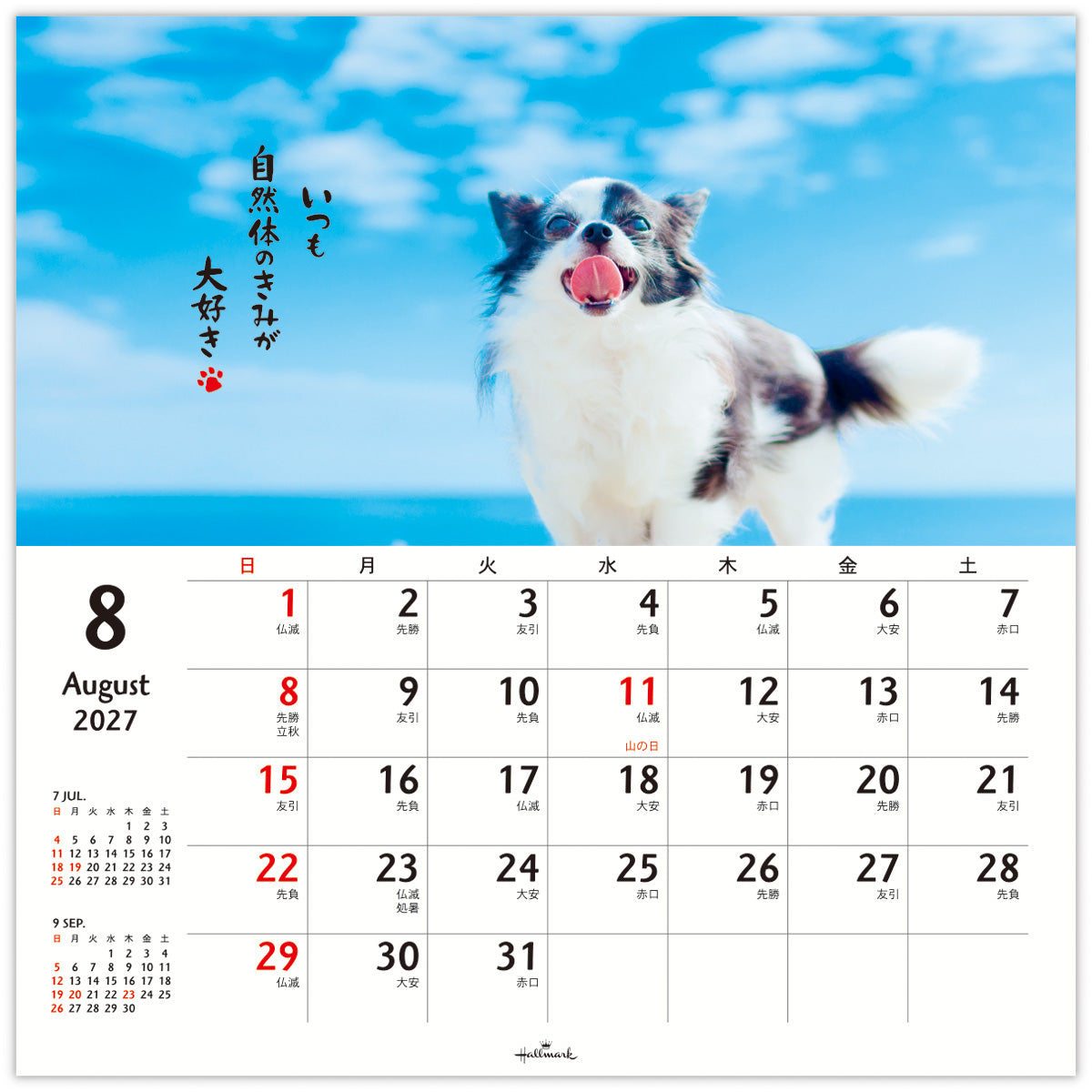 ③『犬』壁掛けチャリティーカレンダー5枚セット ほめわんこ【壁掛け｜リングカレンダー大 2027】｜日本ホールマークの