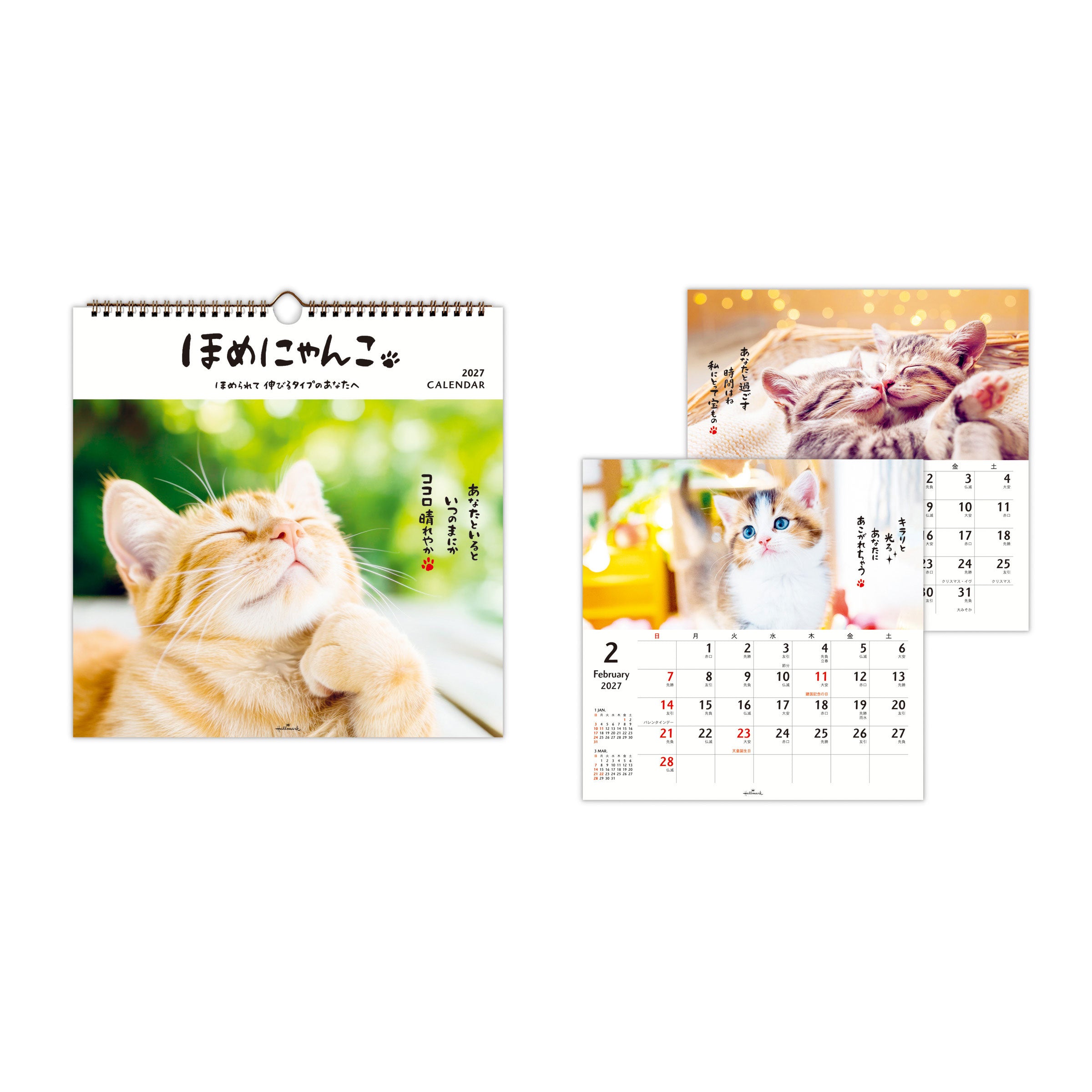 ほめにゃんこ【壁掛け｜リングカレンダー大 2027】