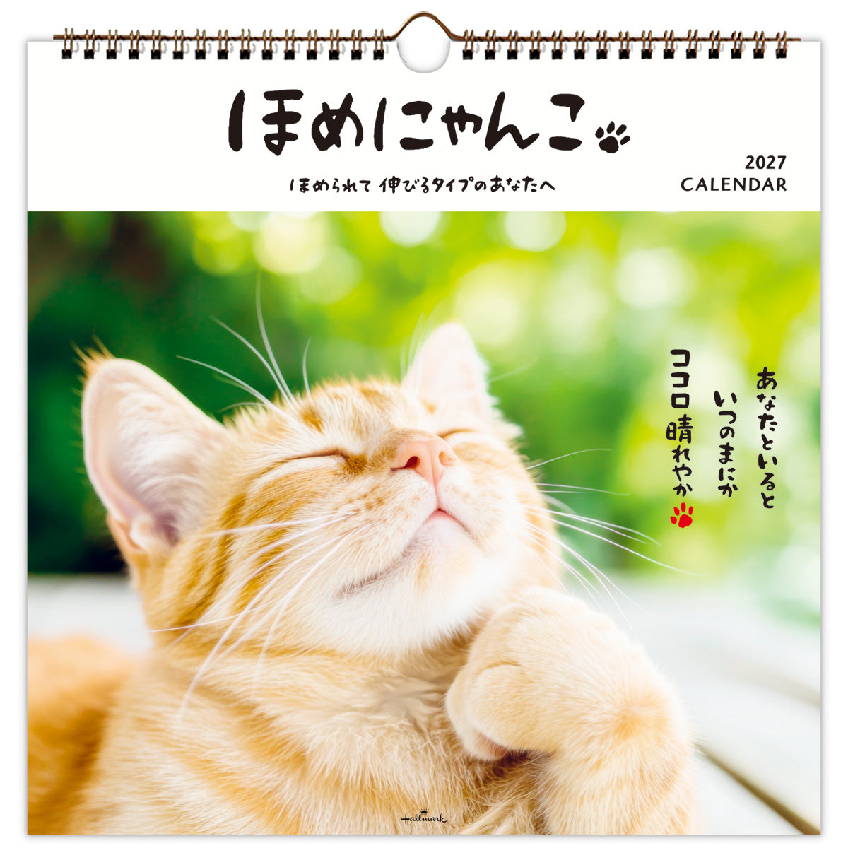 ほめにゃんこ【壁掛け｜リングカレンダー大 2027】｜日本ホールマーク