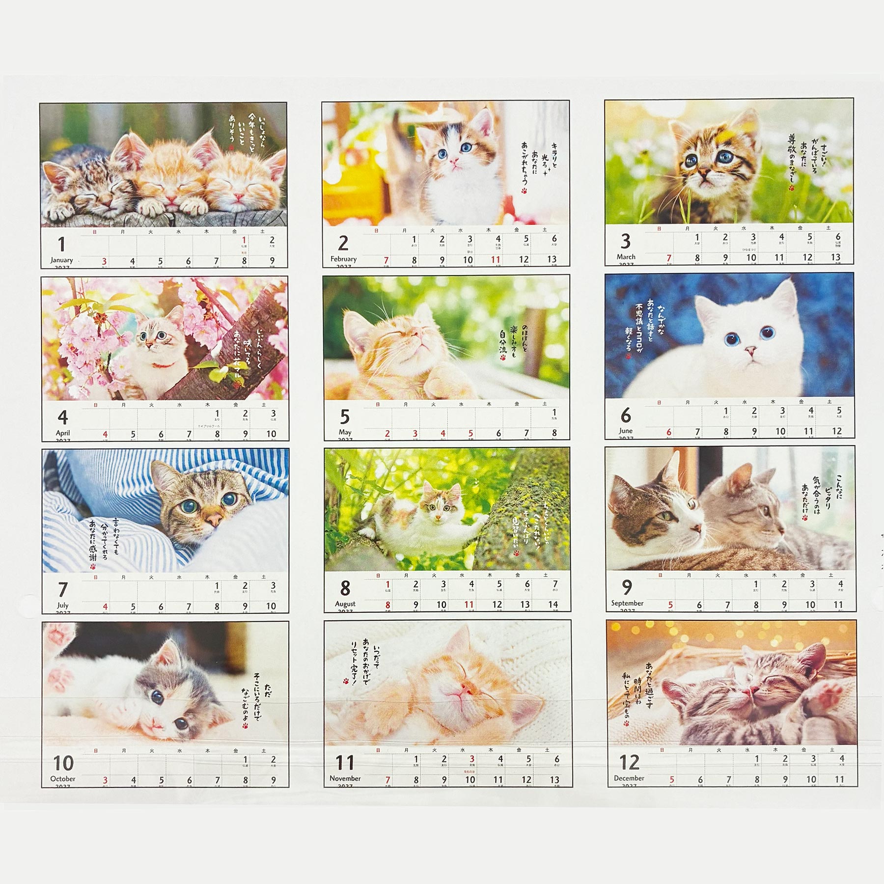 ほめにゃんこ【壁掛け｜リングカレンダー大 2027】｜日本ホールマーク