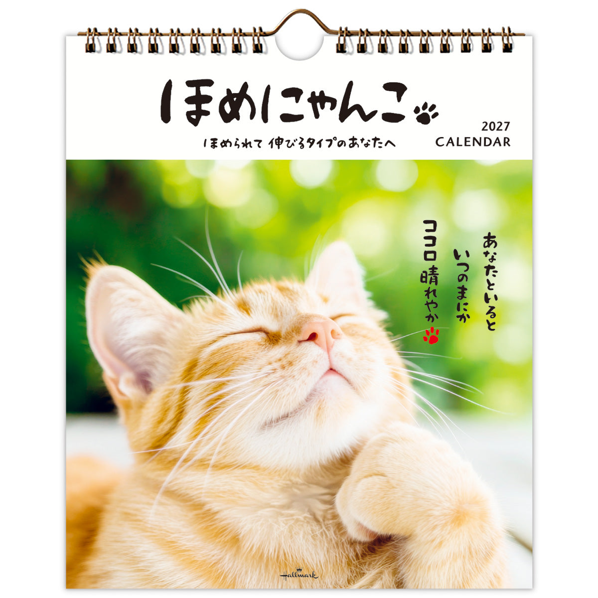 めめたにゃんページ ほめにゃんこ【壁掛け・卓上｜リングカレンダー小 2027】｜日本ホール