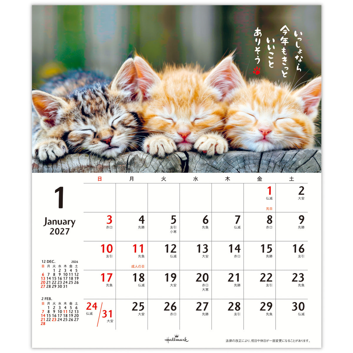 ほめにゃんこ【壁掛け・卓上｜リングカレンダー小 2027】｜日本ホール