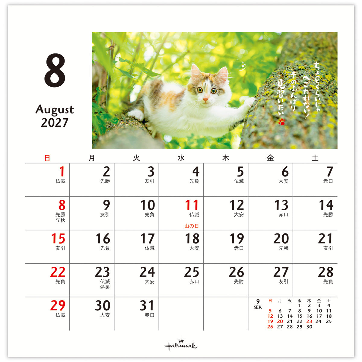 ほめにゃんこ【卓上カレンダー 2027】｜日本ホールマークの2027年