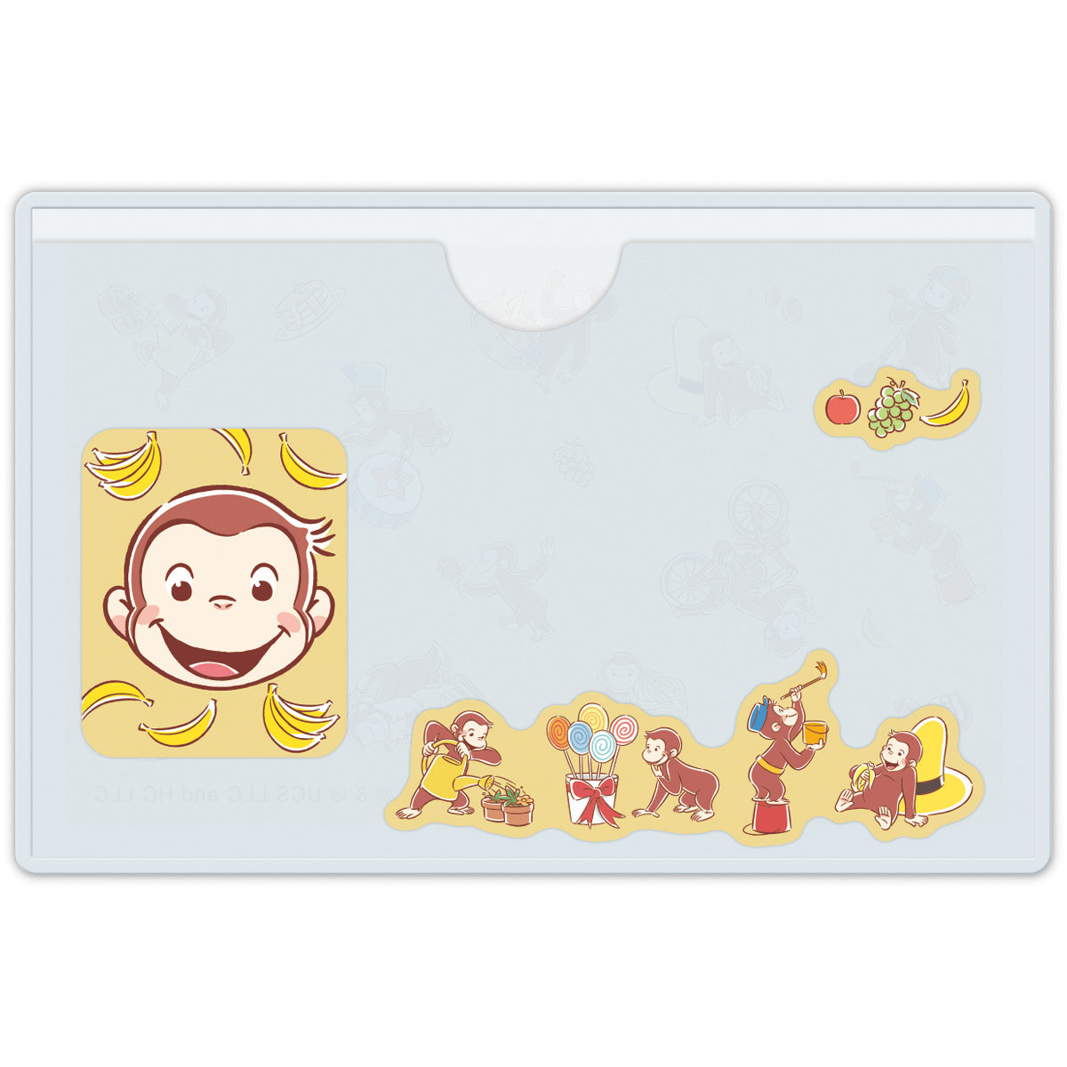 ケアとも マイナンバーカードケース1柄2枚入り 顔が隠せるタイプ