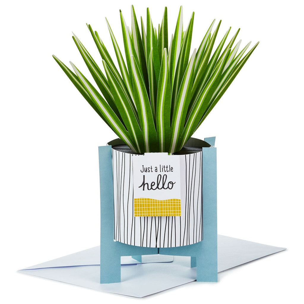 Spider Plant Keep Growing 3D Pop-Up Hello Card【多目的／Paper Wonder】